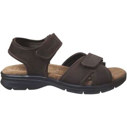 Sandalen Sanders basics - Panama Jack - Modalova