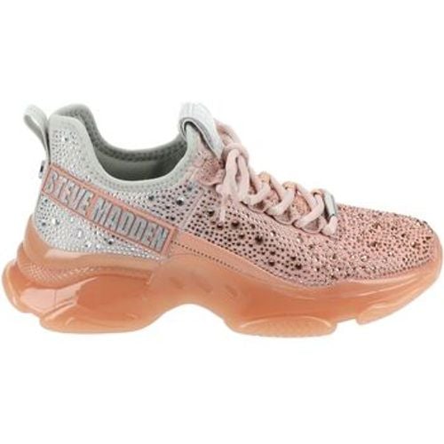 Steve Madden Sneaker Sneaker - Steve Madden - Modalova