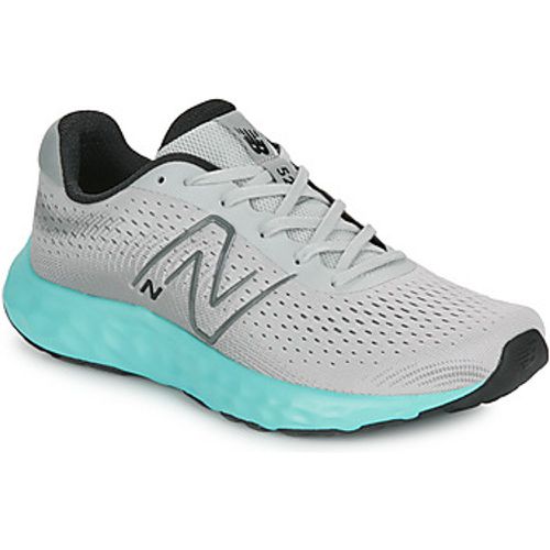 New Balance Herrenschuhe 520 - New Balance - Modalova