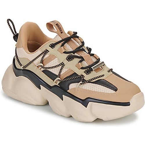 Steve Madden Sneaker SPECTATOR - Steve Madden - Modalova