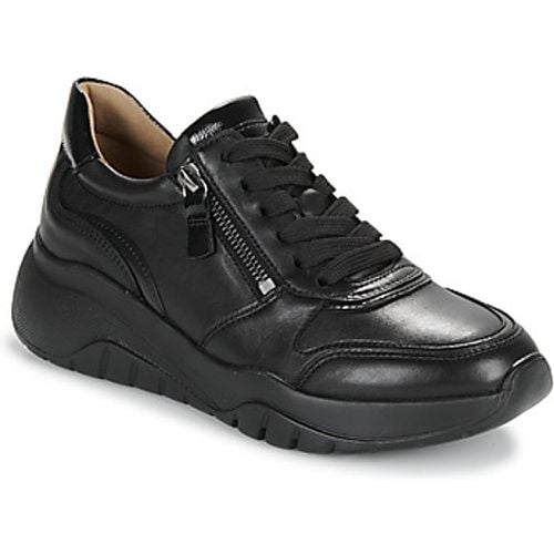 Gabor Sneaker 53450 - Gabor - Modalova