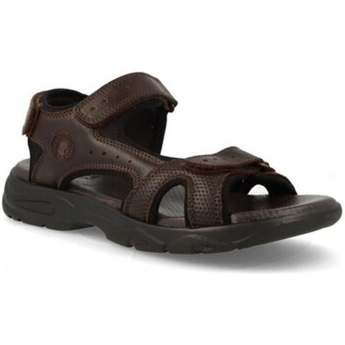 Kangaroos Sandalen SCHUHE 522 - Kangaroos - Modalova