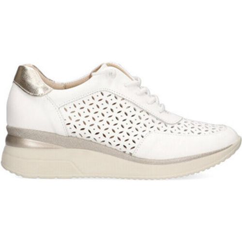 Pitillos Sneaker 74634 - Pitillos - Modalova