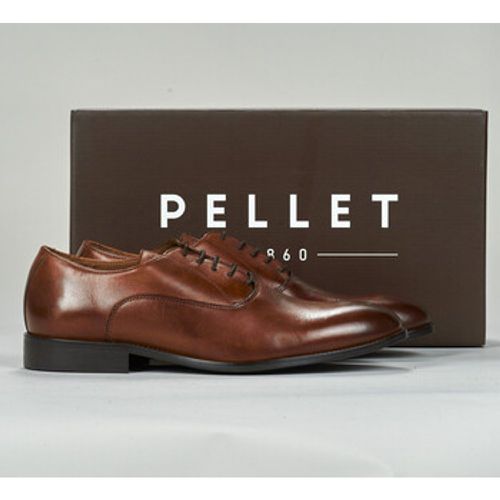 Pellet Schuhe BART - Pellet - Modalova