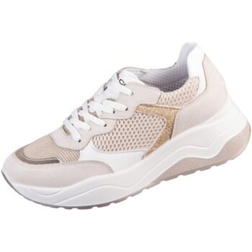 Halbschuhe Schnuerschuhe Donna Eva 7154033 panna Nauk -Rete 7154033 - IGI&Co - Modalova