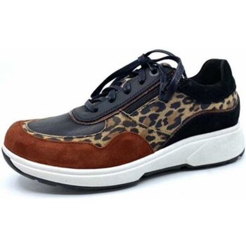 Halbschuhe Schnuerschuhe Lima Leopard 30204.3.627 HX - Xsensible - Modalova