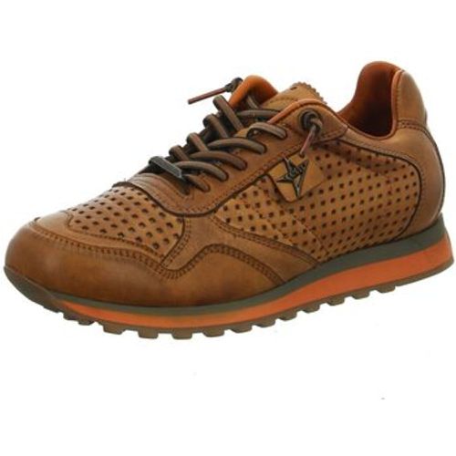 Halbschuhe Schnuerschuhe C848 Sneaker tin moka - Cetti - Modalova