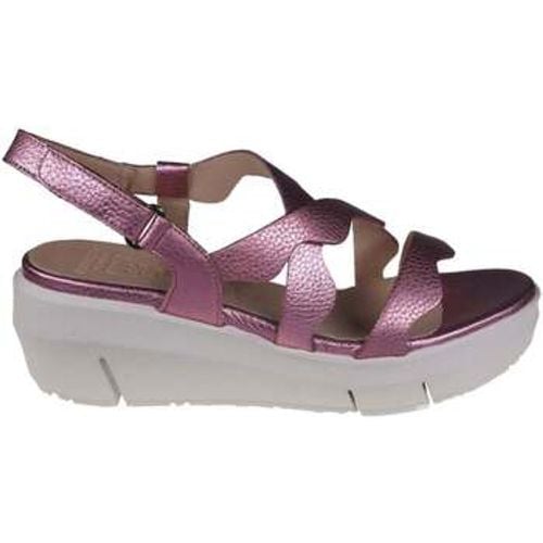 Wonders Sandalen Max - Wonders - Modalova