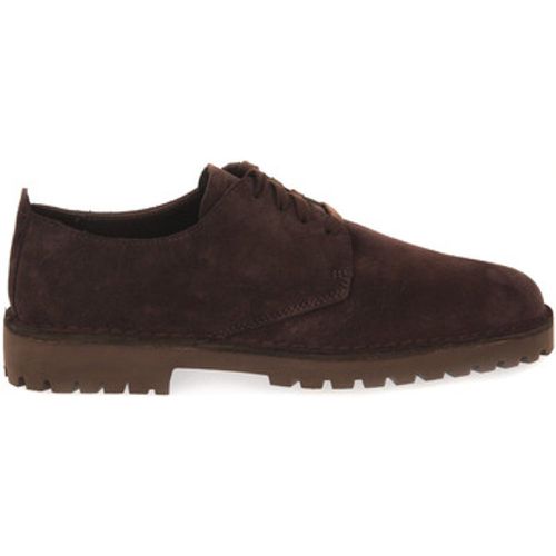 Clarks Sneaker DESERTROCK LOW - Clarks - Modalova