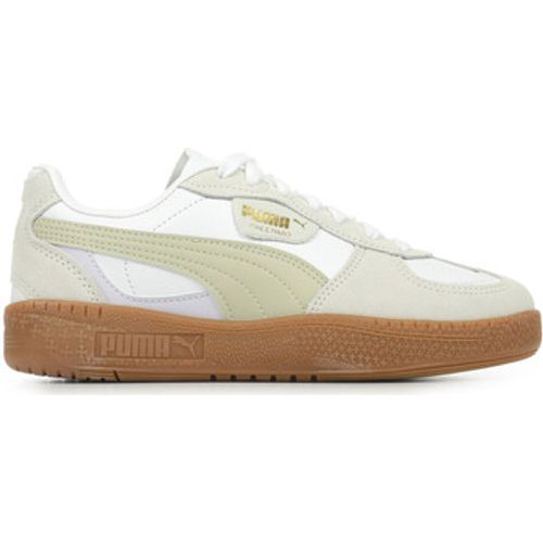 Puma Sneaker Palermo Moda Wns - Puma - Modalova