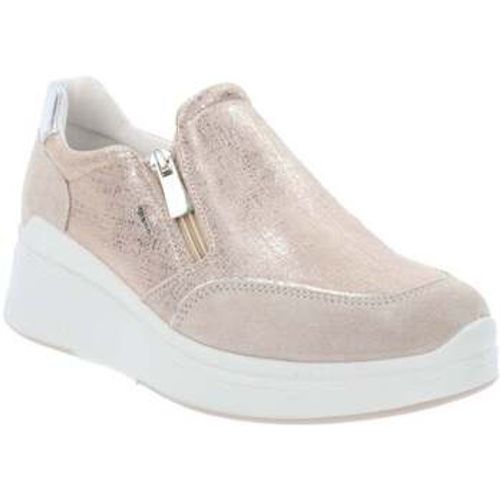 IgI&CO Sneaker IG-5654522 - IGI&Co - Modalova