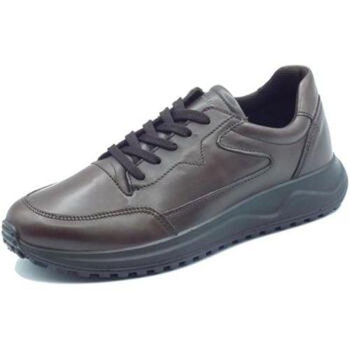 Halbschuhe 6638811 Vitello Alfa T - IGI&Co - Modalova