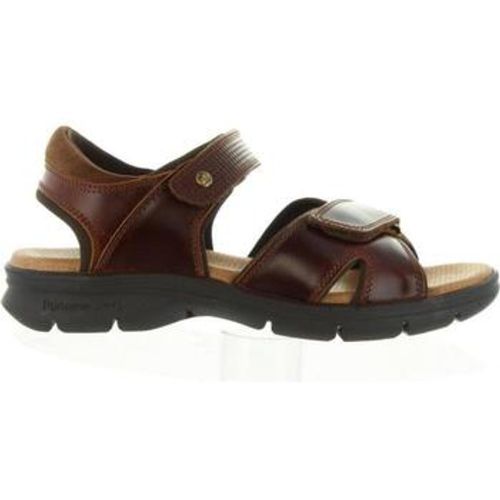 Sandalen SANDERS CLAY C1 - Panama Jack - Modalova