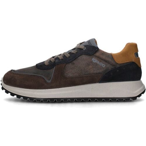 IgI&CO Sneaker 6638511 - IGI&Co - Modalova