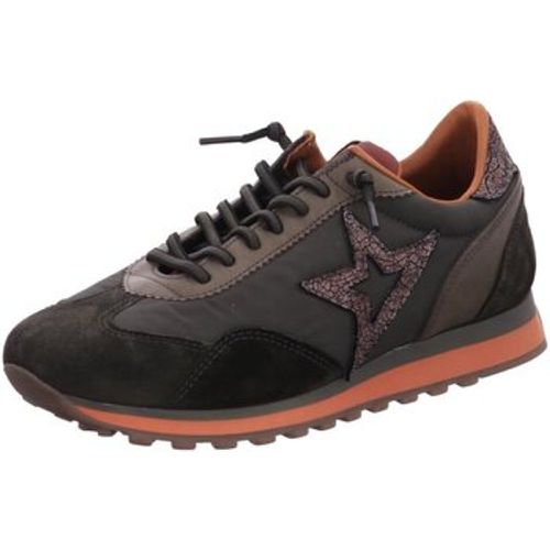 Sneaker ANTE MESH MUSGO C1259 ANTE MESH MUSGO - Cetti - Modalova