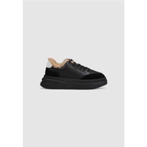 Ash Sneaker 136517 IMPULS FUR - Ash - Modalova