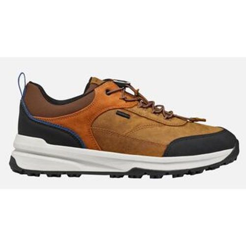 Geox Sneaker GEUAI25-U46H0B-ocra - Geox - Modalova