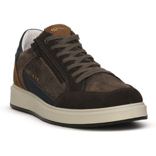 IgI&CO Sneaker SANTIAGO MARRONE - IGI&Co - Modalova