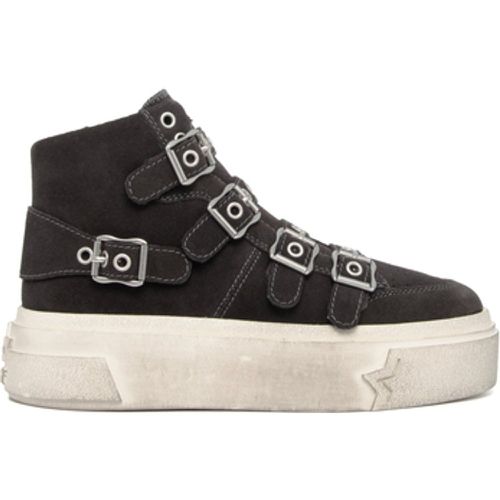 Sneaker STARMOONBK6 CALF SUEDE BISTRO - Ash - Modalova