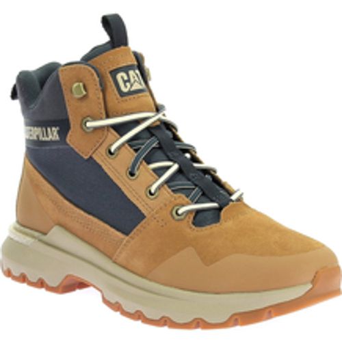 Turnschuhe Colorado Sneak - Caterpillar - Modalova