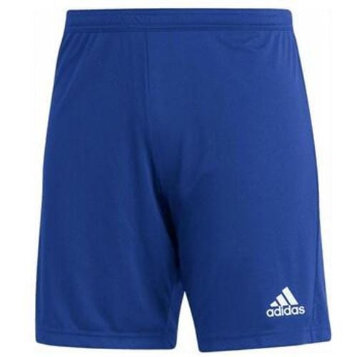 Adidas Shorts HG6294 - Adidas - Modalova