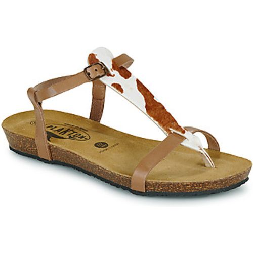 Plakton Sandalen FRAN ZOUK - Plakton - Modalova