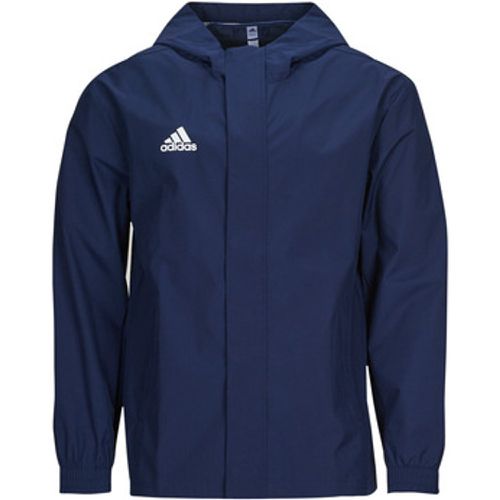 Adidas Herren-Jacke - Adidas - Modalova