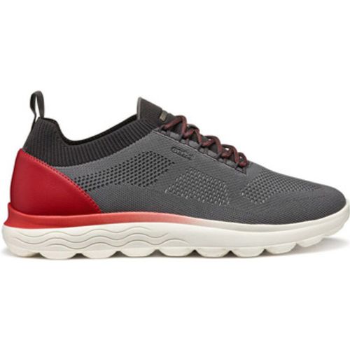 Sneaker U Spherica sneaker in tessuto - Geox - Modalova