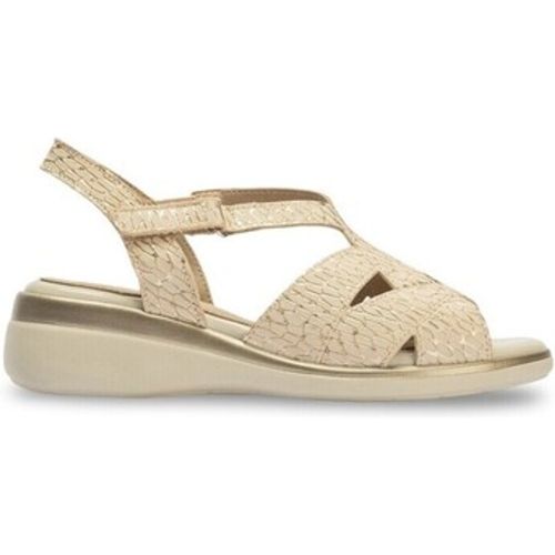 Pitillos Sandalen 10341 - Pitillos - Modalova