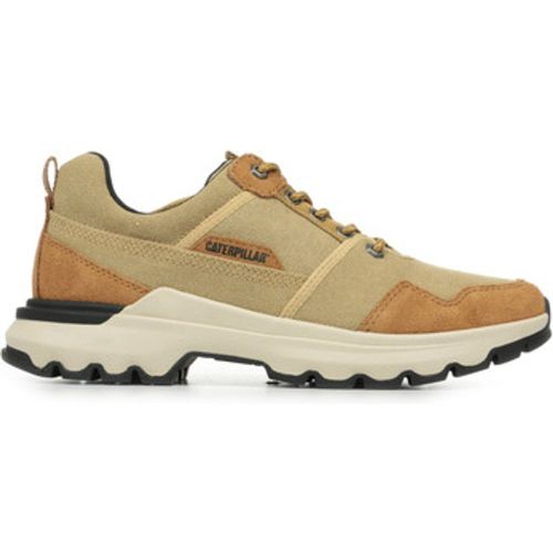 Sneaker Colorado Sneaker Low Canvas - Caterpillar - Modalova