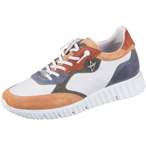 Sneaker Schnuerschuhe C1384 multi multiclour Ante Nature C1384 multi - Cetti - Modalova