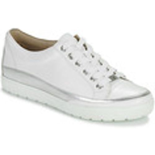 Sneakers basse Caprice BUSCETI - Caprice - Modalova