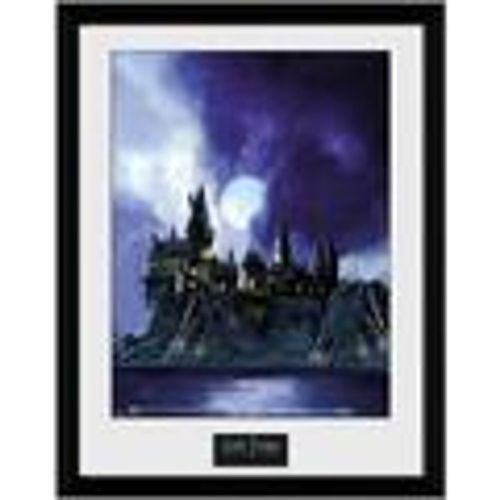 Cornici foto Harry Potter TA7615 - Harry Potter - Modalova