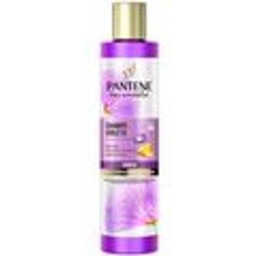 Shampoo Shampoo Viola Miracolo - Pantene - Modalova