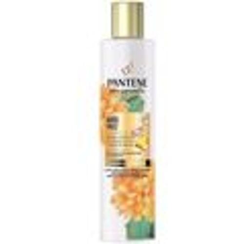 Shampoo Miracle Goodbye Shampoo Crespo - Pantene - Modalova