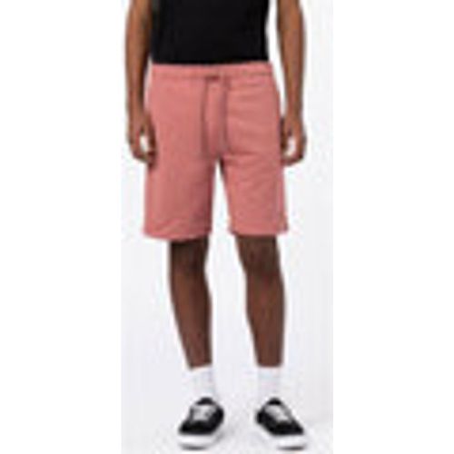 Pantaloni corti Champlin Short - Dickies - Modalova