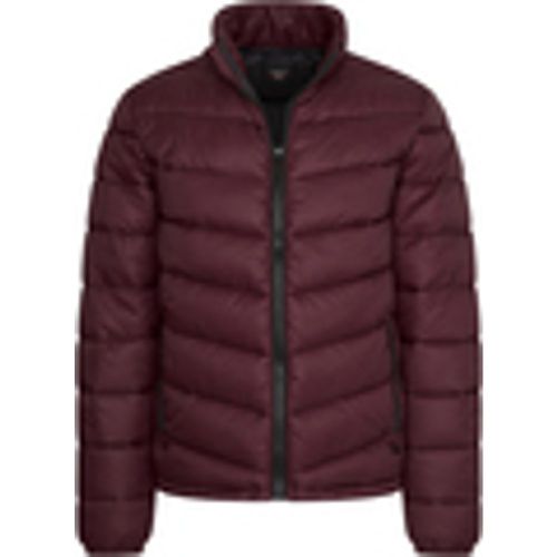 Parka Winter Jacket Burgundy - Cappuccino Italia - Modalova