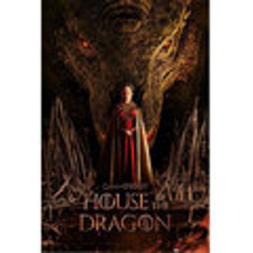 Poster House Of The Dragon TA9816 - House Of The Dragon - Modalova