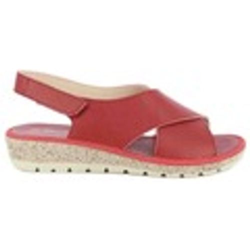 Scarpe Doctor Cutillas 35310 - Doctor Cutillas - Modalova