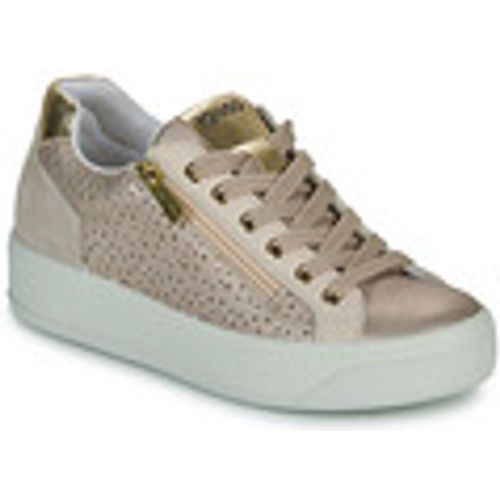 Sneakers basse IgI&CO 5658222 - IGI&Co - Modalova