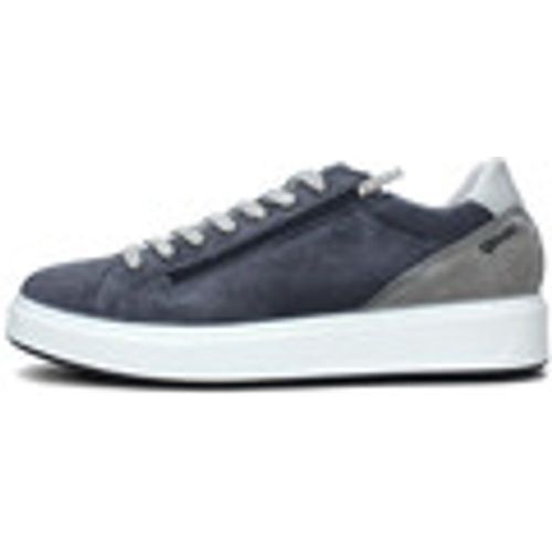 Sneakers IgI&CO 5632311 - IGI&Co - Modalova