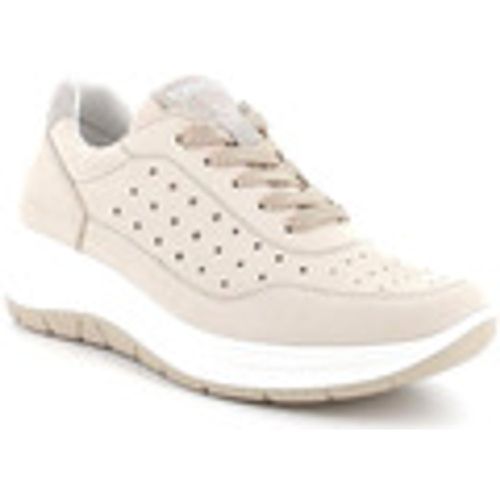 Sneakers IgI&CO 5653611 - IGI&Co - Modalova