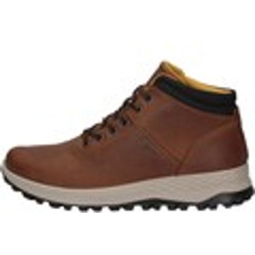 Scarpe da trekking IgI&CO 66281/22 - IGI&Co - Modalova