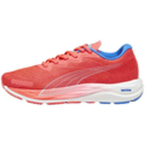 Scarpe Puma Velocity Nitro 2 - Puma - Modalova