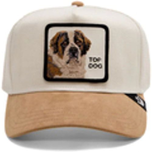 Cappelli The Suede St. Bernard - Goorin Bros - Modalova