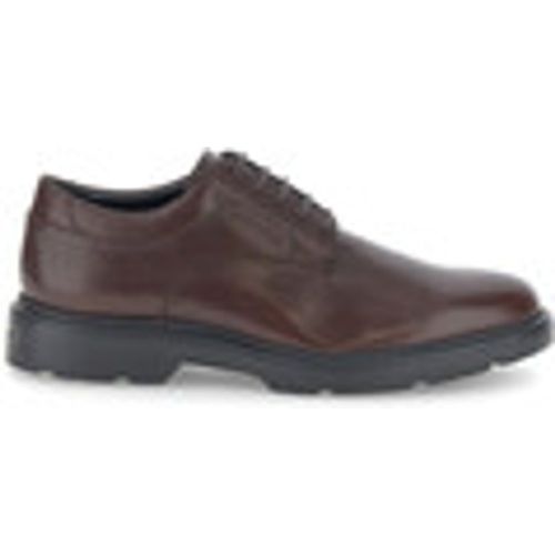 Sneakers stringate uomo Forever 2 in pelle brown 221669 316 - Stonefly - Modalova