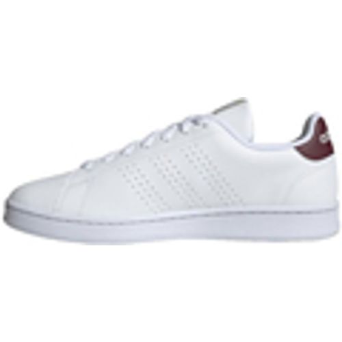 Sneakers adidas Advantage - Adidas - Modalova