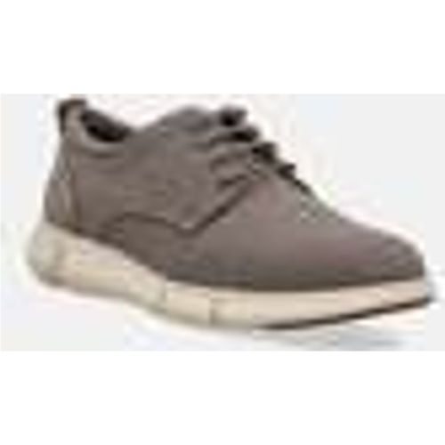 Scarpe Geox ADACTER - Geox - Modalova