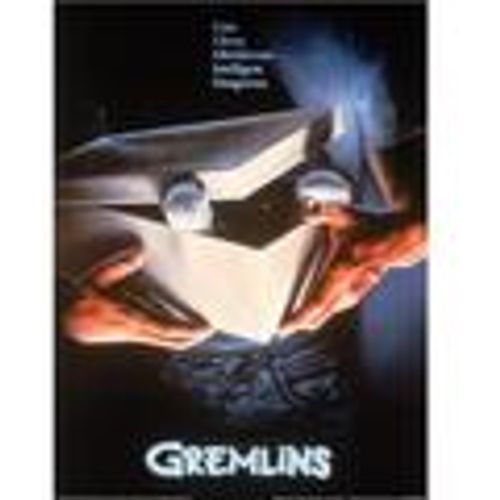 Poster 40 cm x 30 cm PM8485 - Gremlins - Modalova