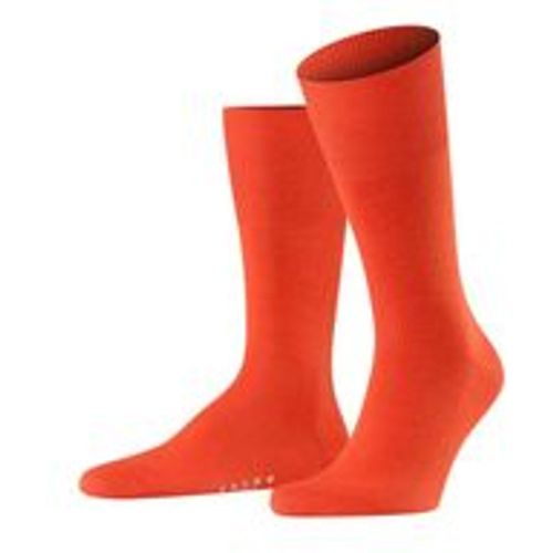 Herren Socken - Falke - Modalova